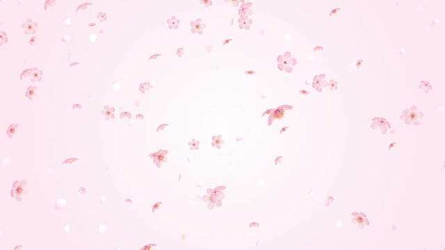 Falling Cherry blossom particles motion background - Pale pink gradation color