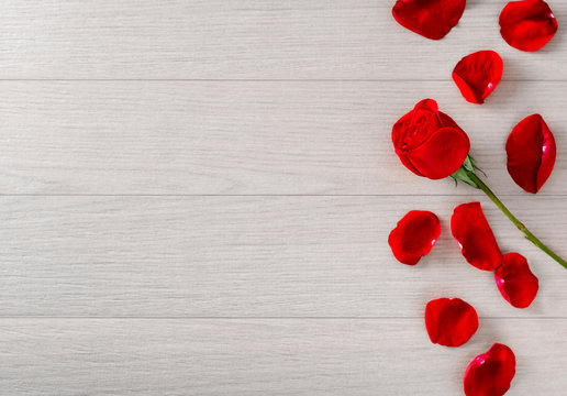 Valentine's Day. Red Rose and Petals on Wooden Grey Background. Flowers composition. Valentines day background. Image