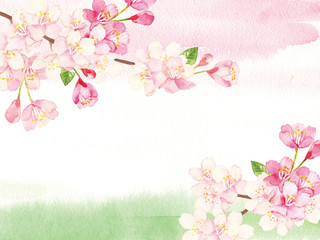 桜 背景イラスト Wall Mural Wallpaper Murals Wallsheaven Perori 桜 背景イラスト Wall Mural Wallpaper Murals Wallsheaven Perori
