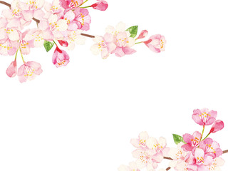 桜 背景イラスト Wall Mural Wallpaper Murals Wallsheaven Perori 桜 背景イラスト Wall Mural Wallpaper Murals Wallsheaven Perori