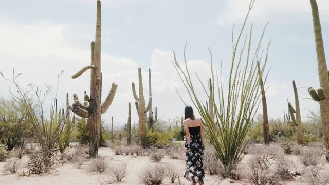 Epic slow motion wide shot, young happy tourist woman walks among big Saguaro cactus field in hot national park desert.