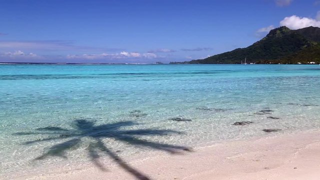 Woman on Temae Beach, Mo'orea, French Polynesia 