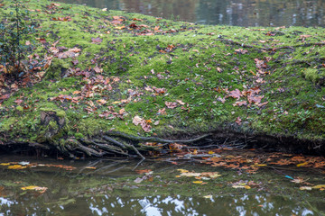 Autumn in the park near the water