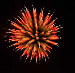 Exotic focus-poll images of fireworks, isolated for composing