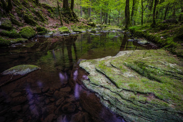 Obraz premium waterfall water stream in black forest