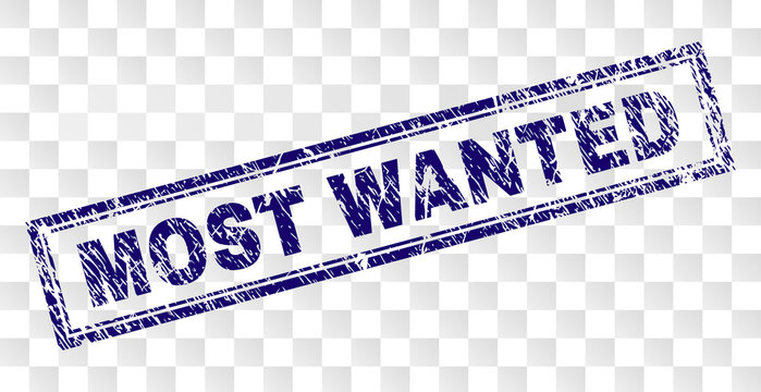 MOST WANTED stamp seal print with rubber print style and double framed rectangle shape. Stamp is placed on a transparent background. Blue vector rubber print of MOST WANTED text with unclean texture.