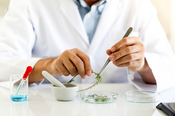 Set of Chemical tube development and pharmacy in laboratory,biochemistry and research technology concept.