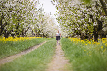 Obraz premium Blonde girl in gray skirt and white shirt playing and running in the cherry blossom garden