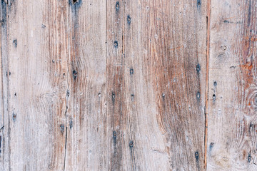 wood grungy background with space for your design