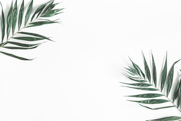 Summer composition. Tropical palm leaves on white background. Summer concept. Flat lay, top view, copy space