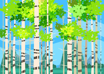Beautiful Spring forest trees, green foliage, landscape, bushes, silhouettes of trunks, horizon. Vector cartoon style illustration template baner poster isolated