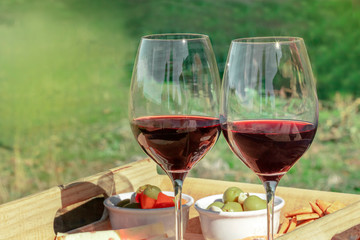 A picnic with two glasses of red wine, with blurred greenery in the background for copy space