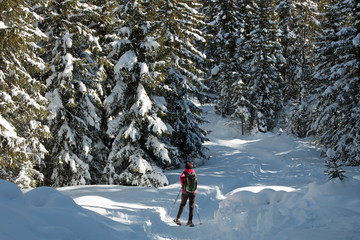 Trekking nel bosco con le ciaspole
