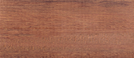 Wood from the tropical rainforest - Suriname - Tabebuia serratifolia Nichols