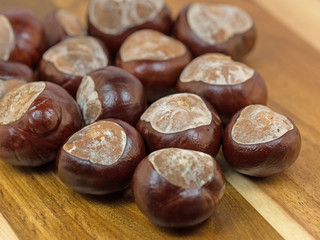 Rosskastanien, Aesculus hippocastanum