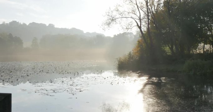 Autumn colors in Hardwick Park, Derbyshire, England, United Kingdom, Europe  