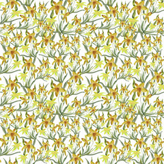 Watercolor seamless pattern with daffodils. Textile perfection, wallpaper, fabric. Hand painted. Illustration.