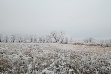 Park Narodowy Ujście Warty