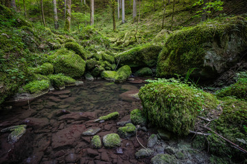 waterfall water stream in black forest