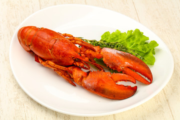 Lobster