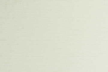 Blended cotton silk fabric textile texture pattern background in sweet light pale green color