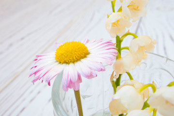 multi-colored Chamomile and bells on wooden background, macro