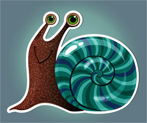 snail on colour background