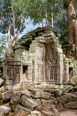 Naklejka premium ancient remains of Ta Prohm temple, Siem Reap, Cambodia, Asia