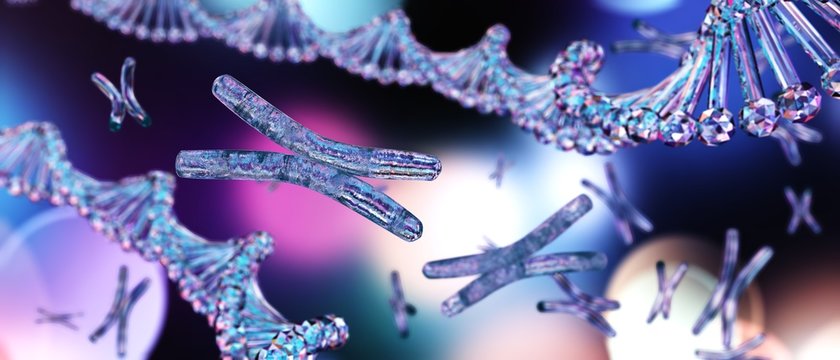 Chromosome, genome, DNA helix, RNA