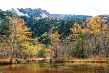 Clear Lake Taisho in Kamikochi national park landscape. Trees shadow to clear Lake on sunrise in morning time, colorful pine tree in Autumn Japan.