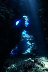 Caves of the Paradise reef at the Red Sea, Egypt