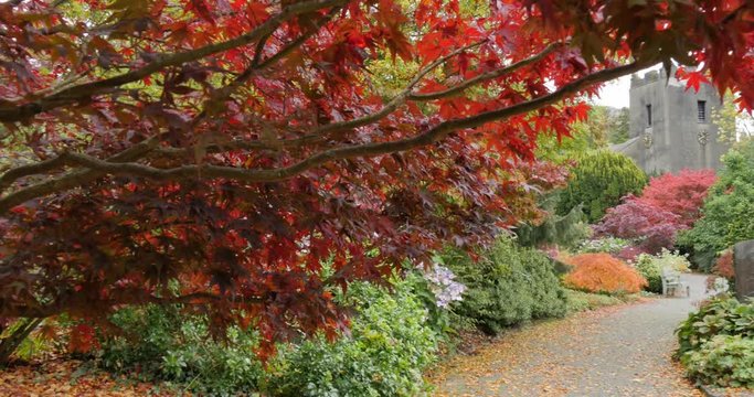 Autumn Leaves, & Church, Grasser, Cumbria, England, United Kingdom, Europe  