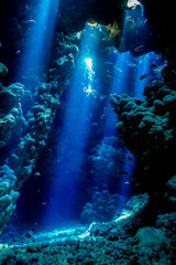 Caves of the Paradise reef at the Red Sea, Egypt