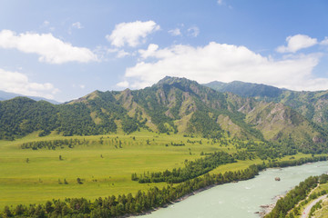 Obraz premium Altai mountains. Katun river.