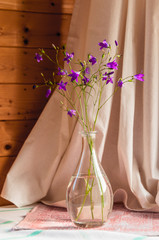 A small bouquet of bell flowers in a transparent vase standing on a window