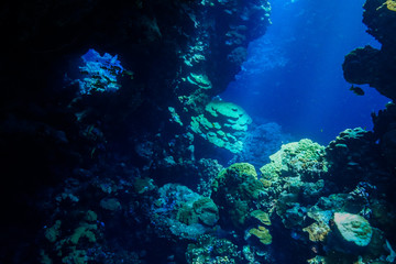 Naklejka na ściany i meble Caves of the Paradise reef at the Red Sea, Egypt