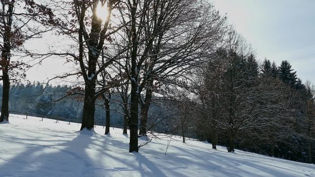 Winterimpressionen eines Fotografen, Utting, Ammersee, Bayern