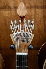 Portuguese 12-string Fado Guitar
