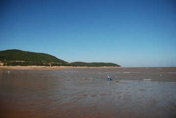 Seaside, dirty sea, blue sky, coast the view from the beach, low water
