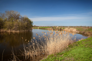 Landscape with the River in spring