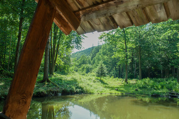 view of the forest and the lake from a wooden house