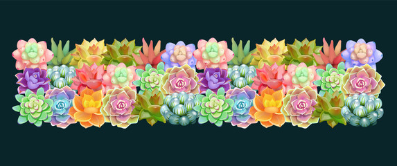 Beautiful horizontal tape of succulents flowers.Elegant vector floral collection. Can be used for greeting card or wedding invitation, natural cosmetics, health care, yoga center and other design