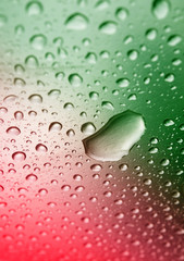 water drops on green background