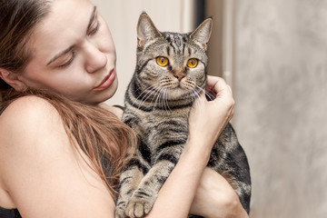 Young caucasian woman holds British Short hair cat with bright yellow eyes, embracing it. Tebby color Ñute cat at home with its loving owner. Indoors, copy space, close up.