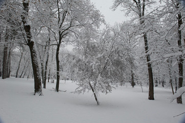park of the Kiev Polytechnic Institute in the snow