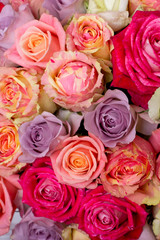 Beautiful bouquet of roses in a gift box. Bouquet of pink roses. Pink roses close-up. on wooden background, with space for text.