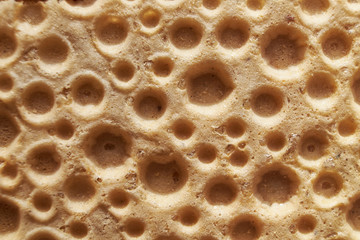 the texture of the bread macro