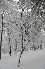 park of the Kiev Polytechnic Institute in the snow
