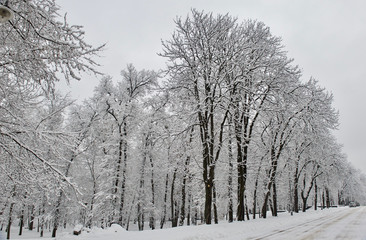 park of the Kiev Polytechnic Institute in the snow