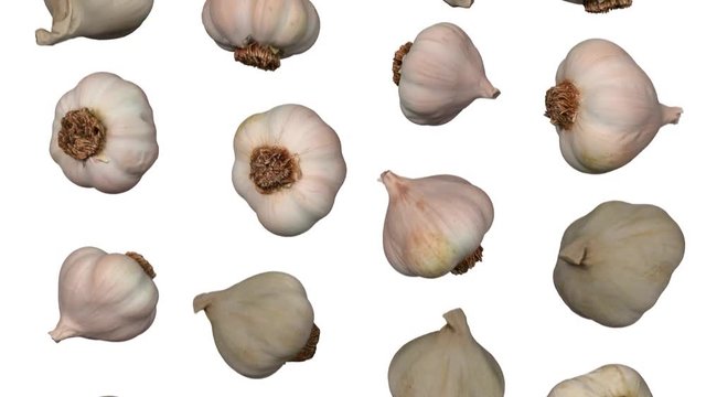 Realistic render of falling garlic heads on white background. The video is seamlessly looping, and the objects are 3D scanned from real garlics.